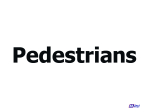 Pedestrian